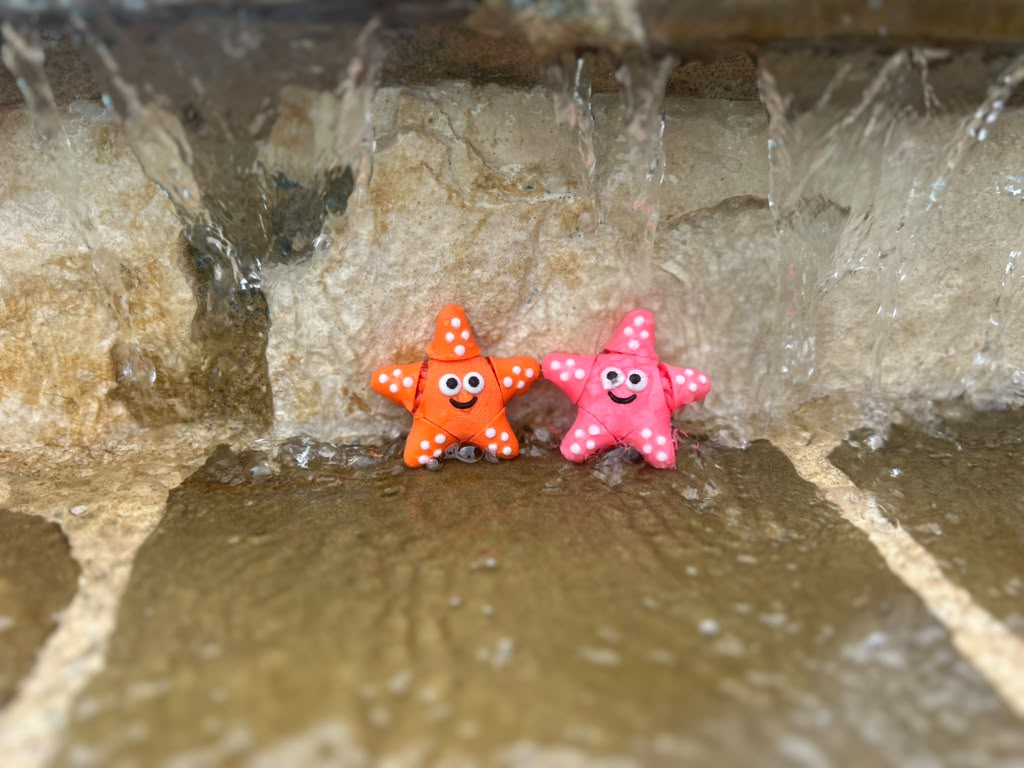 Sea Creature Fidget Toys